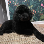 View Gallery Image #6