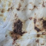 View Gallery Image #2