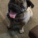 View Gallery Image #3