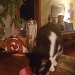 View Gallery Image #9