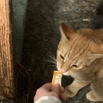 View Gallery Image #6