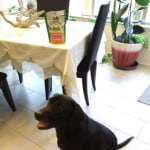 View Gallery Image #7