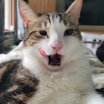 View Gallery Image #1