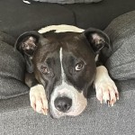 View Gallery Image #11