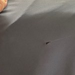 View Gallery Image #14