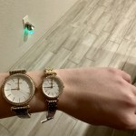 Fossil bq3501 sales