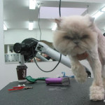 View Gallery Image #6