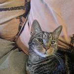 View Gallery Image #13