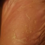 View Gallery Image #5