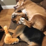 View Gallery Image #11