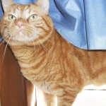 View Gallery Image #4