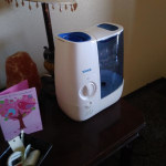 View Gallery Image #8