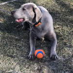 View Gallery Image #1