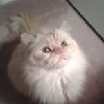 View Gallery Image #8