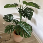 Large Faux Monstera Plant