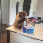 View Gallery Image #10