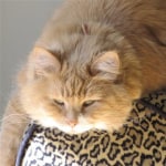 View Gallery Image #3