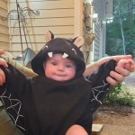 View Gallery Image #7