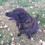 View Gallery Image #4