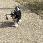 View Gallery Image #3