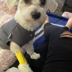 View Gallery Image #12