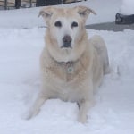 View Gallery Image #3