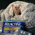 View Gallery Image #8