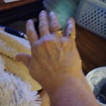 View Gallery Image #1