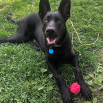 View Gallery Image #2