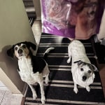 View Gallery Image #10