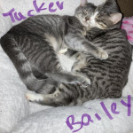 View Gallery Image #9