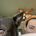 View Gallery Image #6