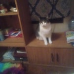 View Gallery Image #10