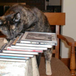 View Gallery Image #15