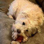 View Gallery Image #14