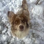 View Gallery Image #8