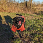 View Gallery Image #6