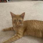 View Gallery Image #8