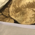 View Gallery Image #11