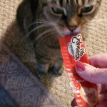 View Gallery Image #3