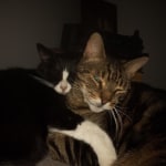 View Gallery Image #7