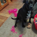 View Gallery Image #11