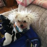 View Gallery Image #11