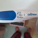 View Gallery Image #6