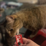 View Gallery Image #6