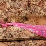 View Gallery Image #7