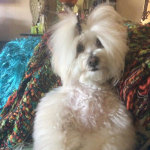 View Gallery Image #6