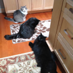 View Gallery Image #5