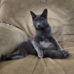 View Gallery Image #11