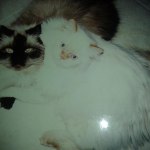 View Gallery Image #6